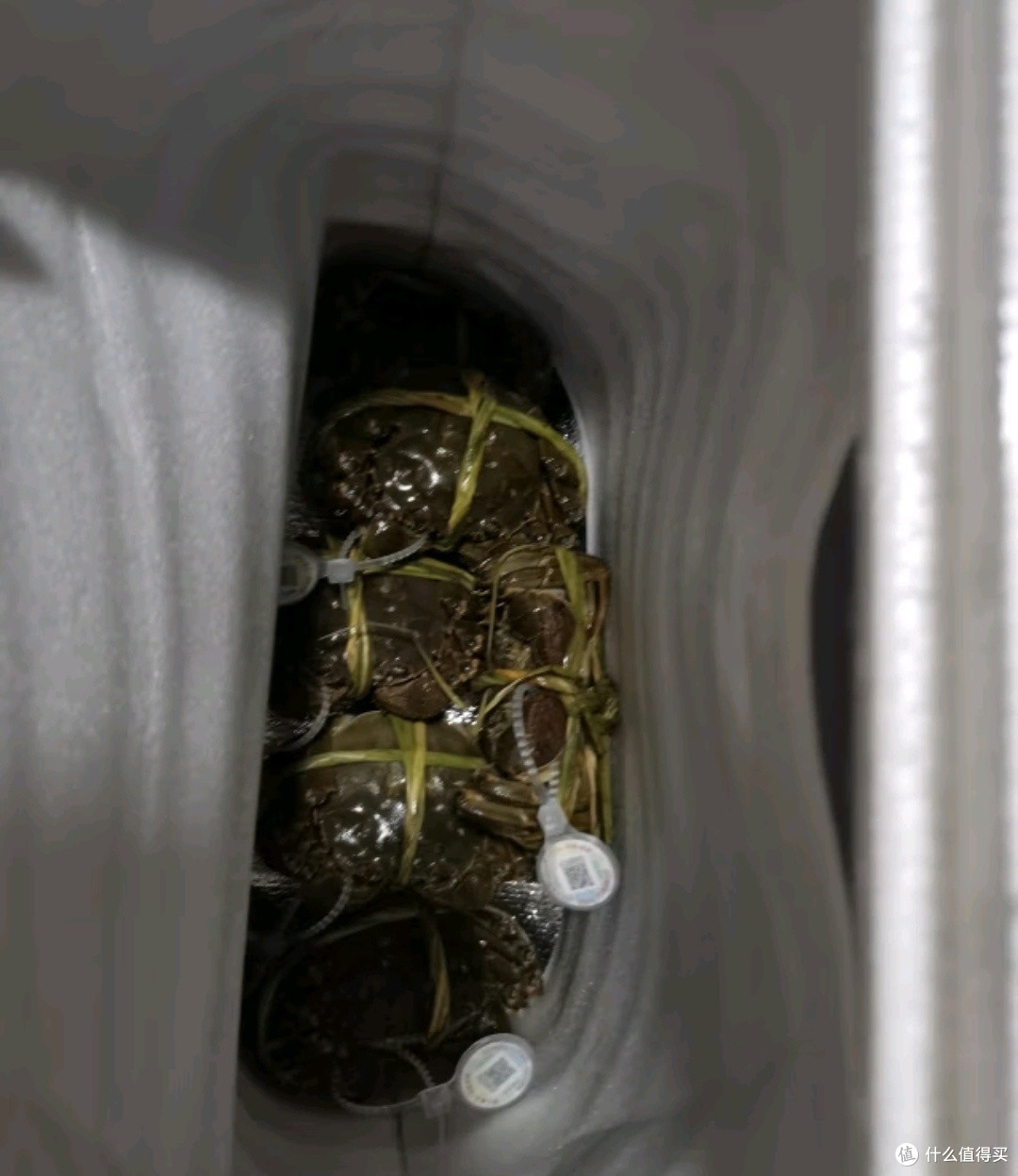 活蟹盛宴来袭！8只大闸蟹，每只都是满满的海洋味道！