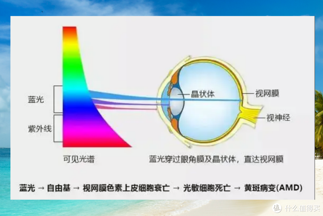 儿童护眼吃叶黄素是智商税么？叶黄素选购攻略