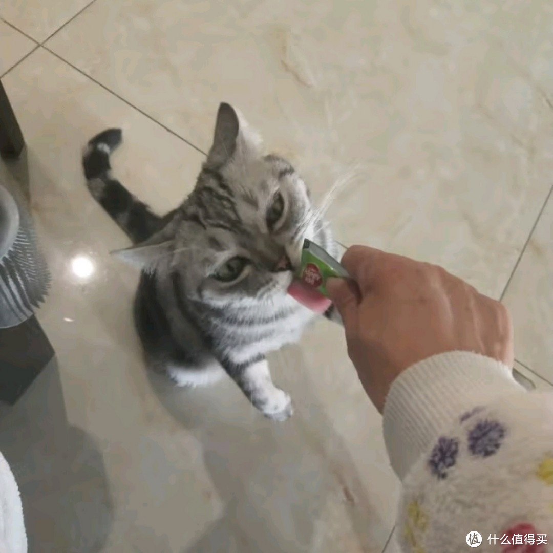 顽皮果饭儿猫条：三文鱼味，猫咪的美味盛宴