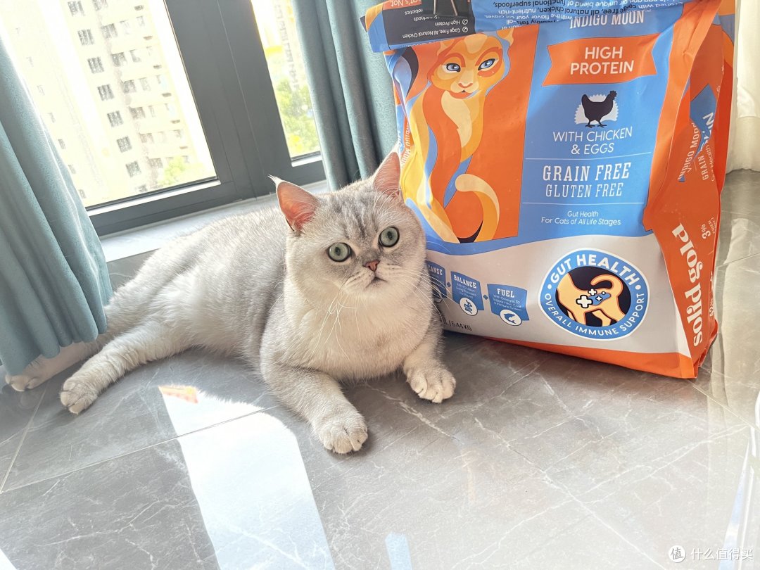 养猫必不可少的神器给大家推荐一下~