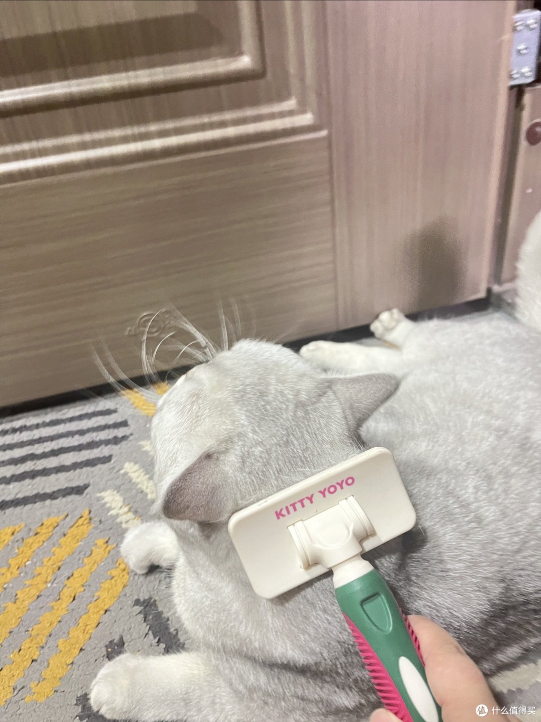 养猫必不可少的神器给大家推荐一下~