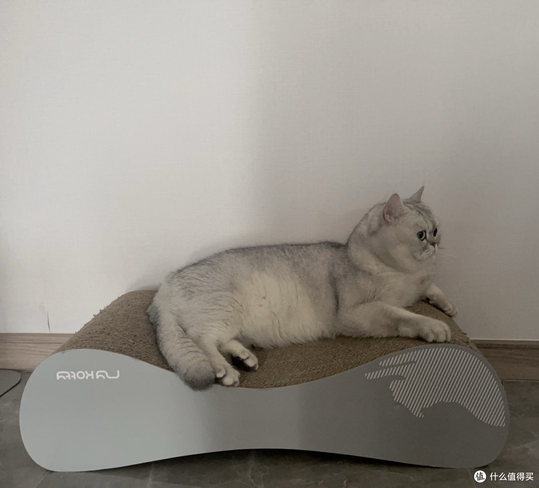 养猫必不可少的神器给大家推荐一下~