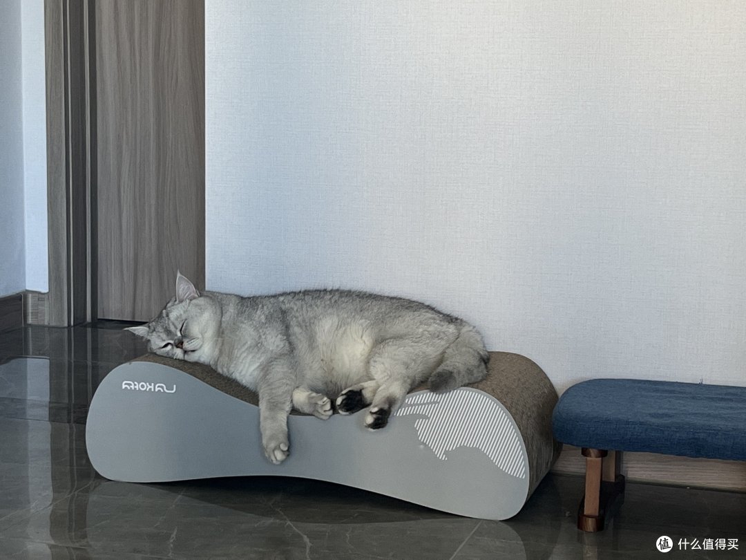 养猫必不可少的神器给大家推荐一下~