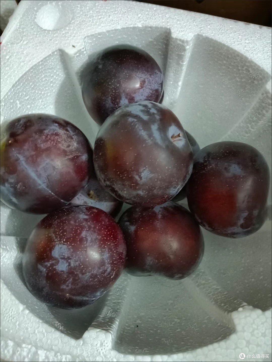 黑步林：神秘与美丽的交织，自然的瑰宝