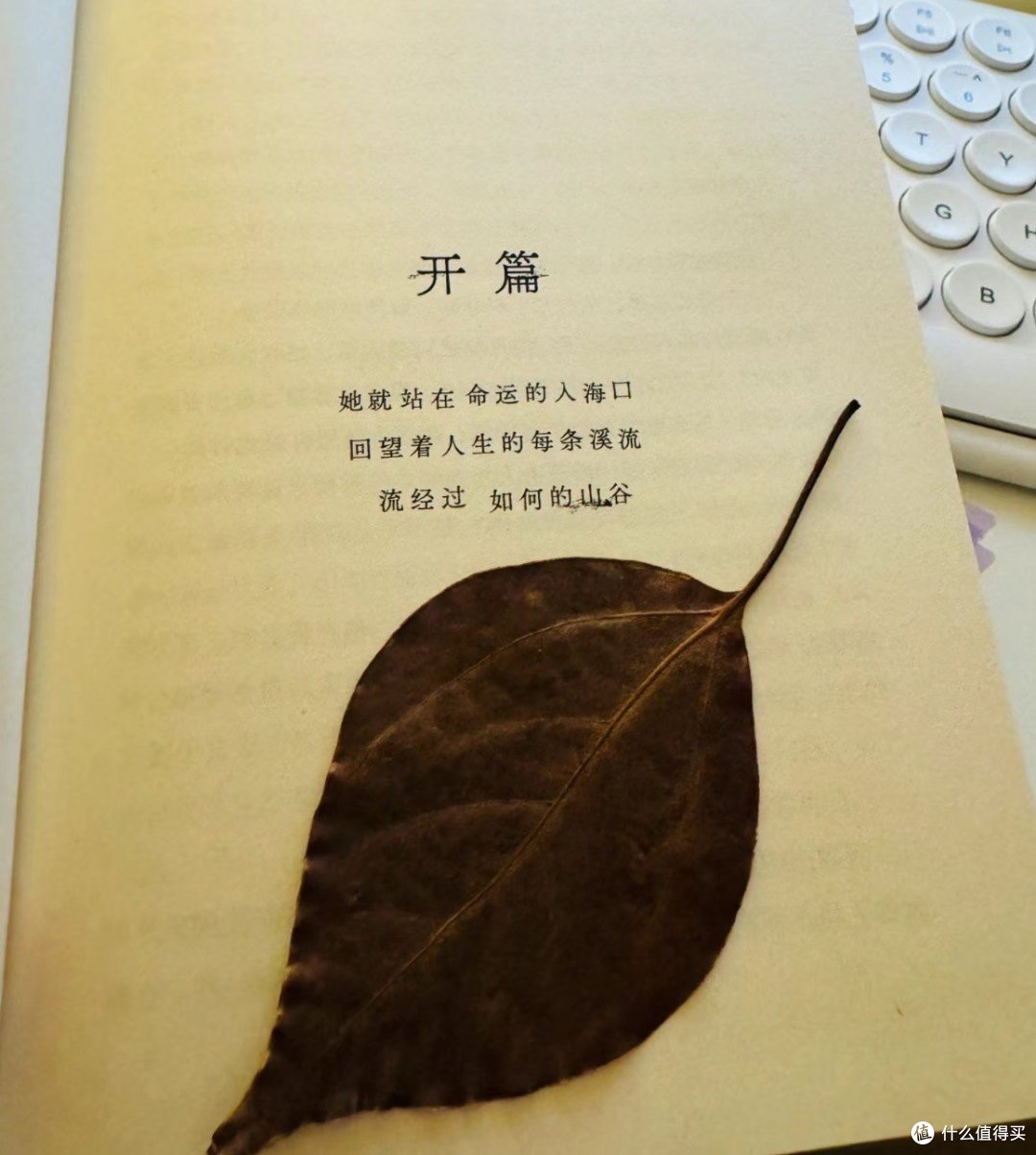 命运：在生死之间触摸人生真谛