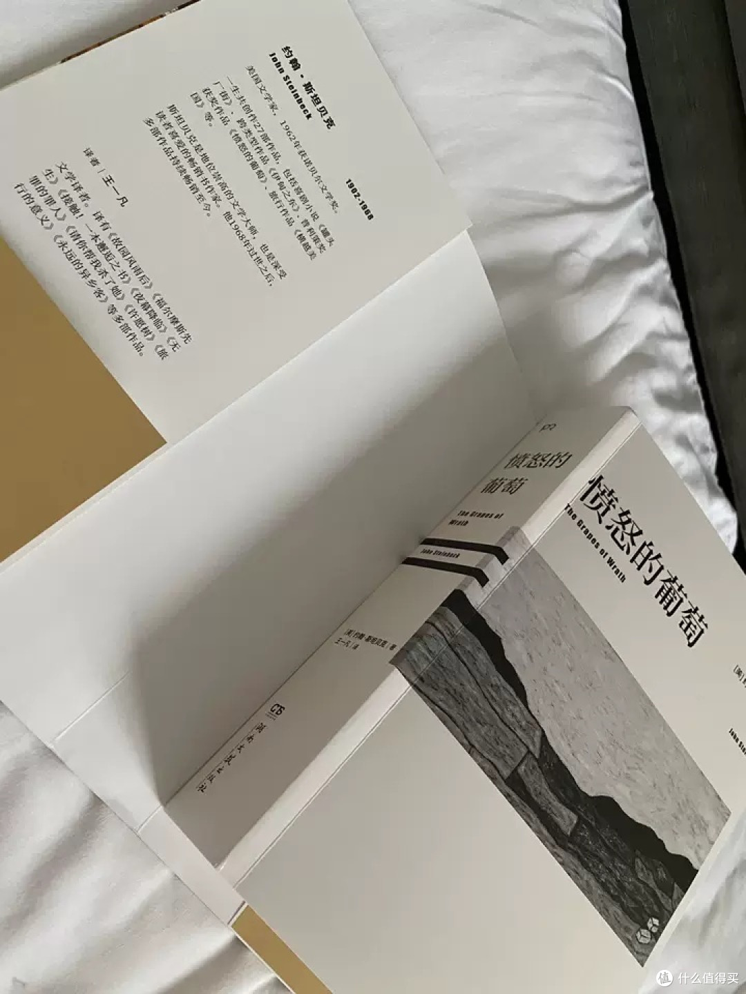 《愤怒的葡萄》