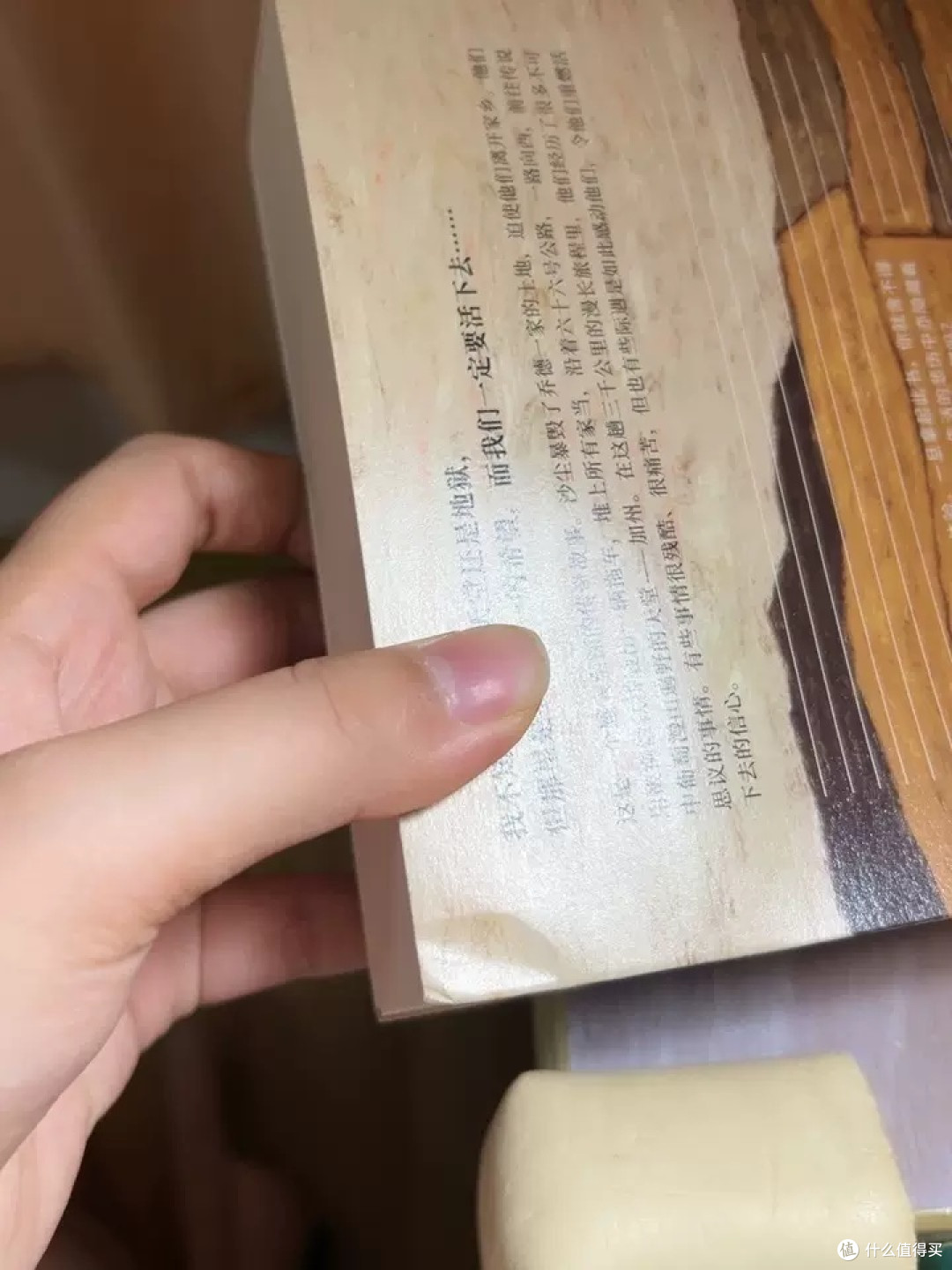 《愤怒的葡萄》