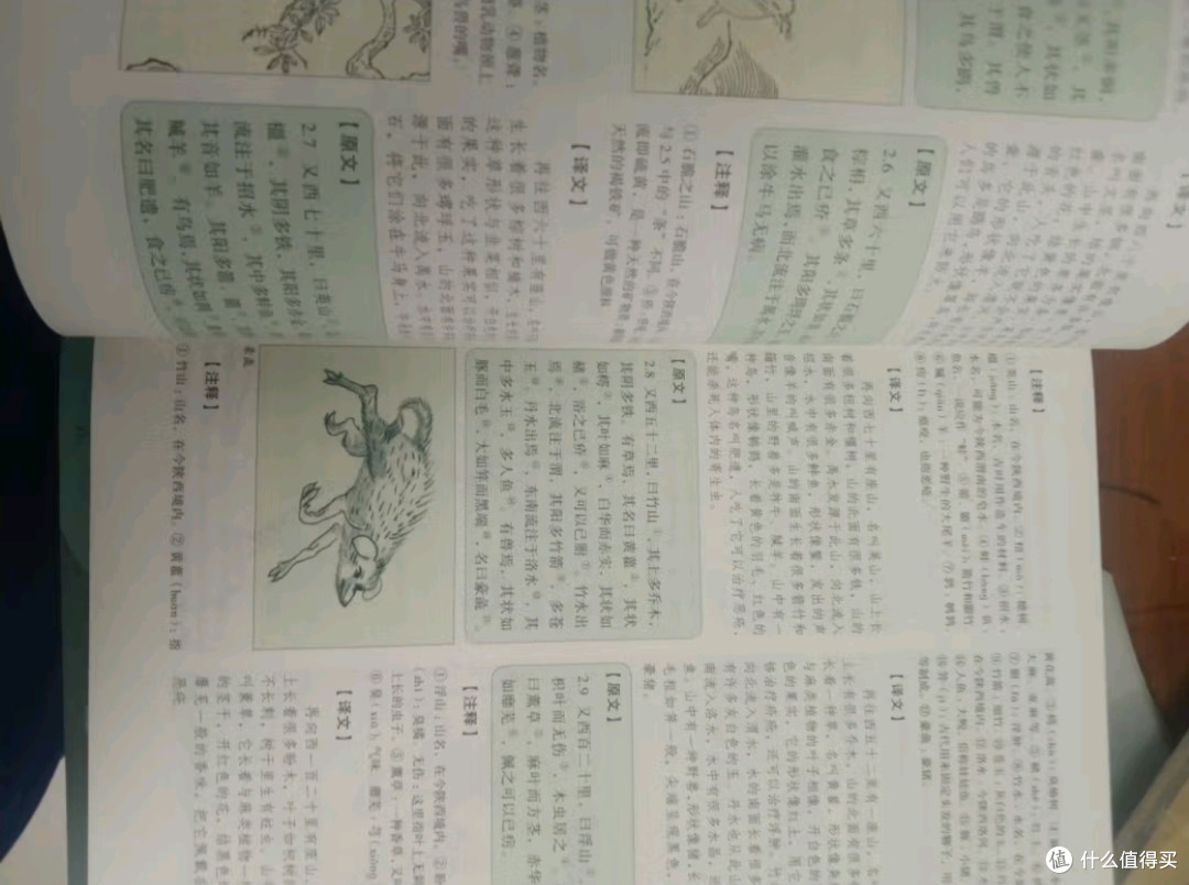 《山海经》里的奇幻世界,你知多少?