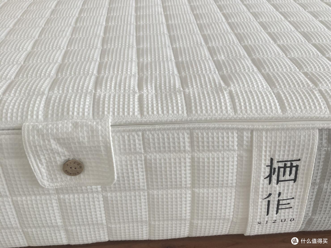 栖作坚果Ⅲ代测评出炉！这款“镇店之宝”到底值不值得买？