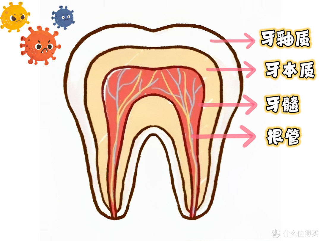 牙齿酸痛敏感你只会忍吗？“脆皮牙”人的自救方案给你整理好啦！