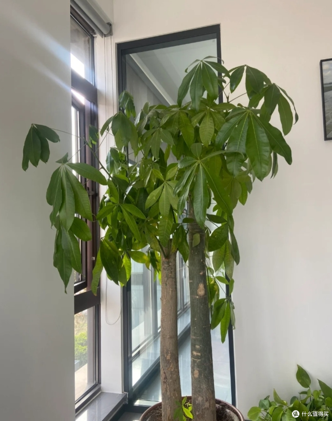 无论房子大小,开门别正对这4种东西,并非误导,是老一辈的经验