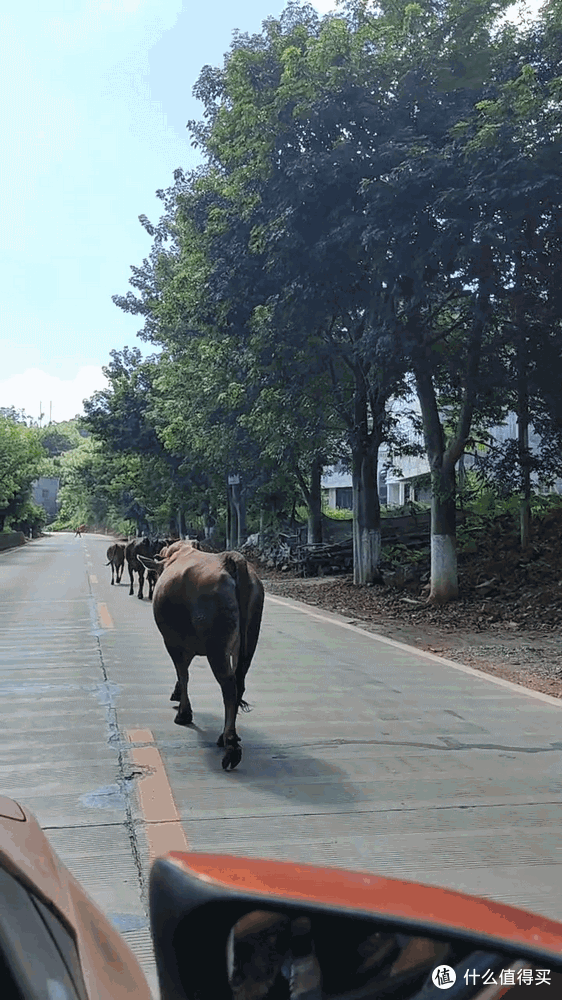 探秘桂黔滇,半个月旅游新体验2-广西都安天窗继续游玩