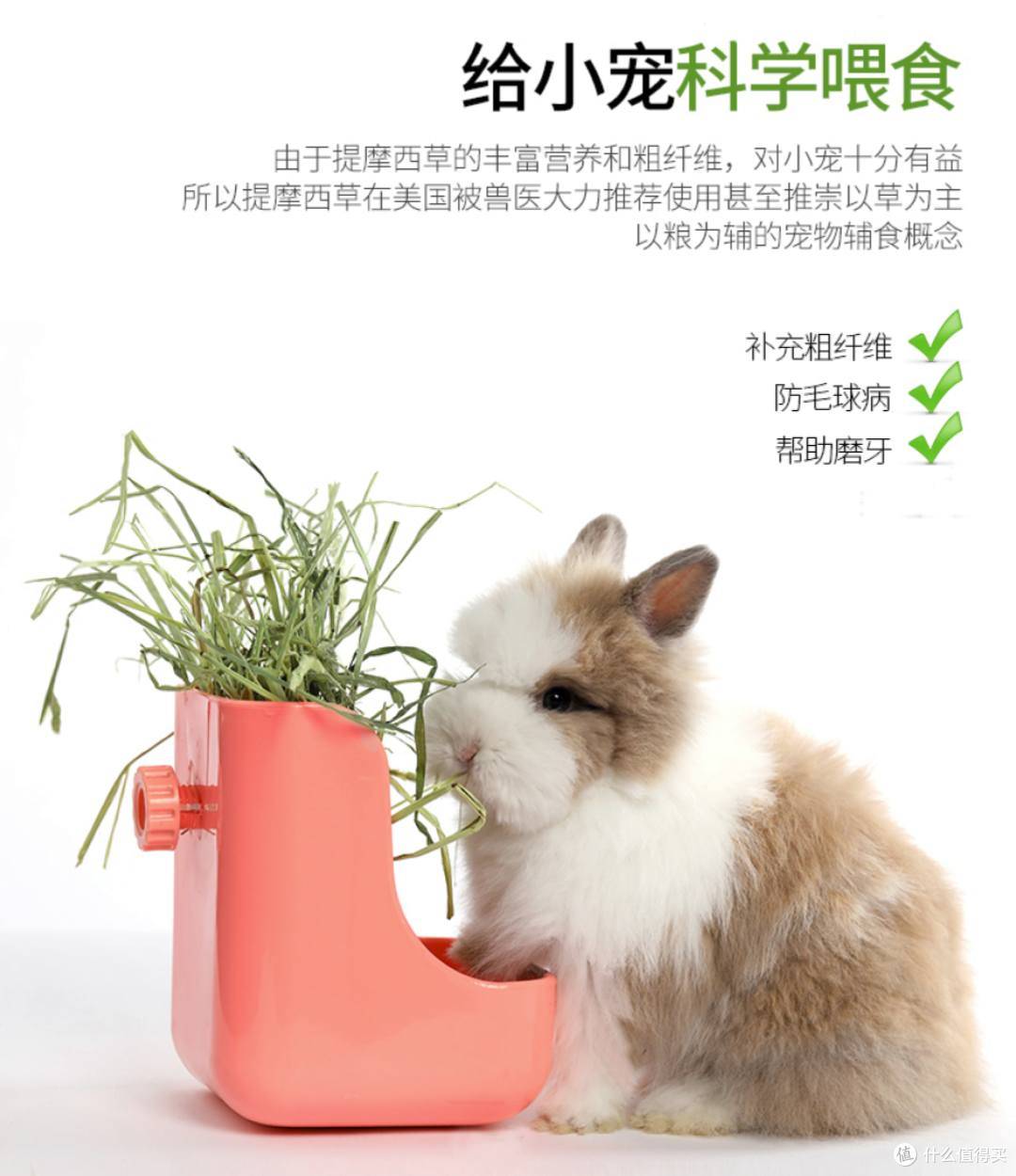 握草!原来草和草是有区别的!——兔兔的主粮草和零食草选购指南