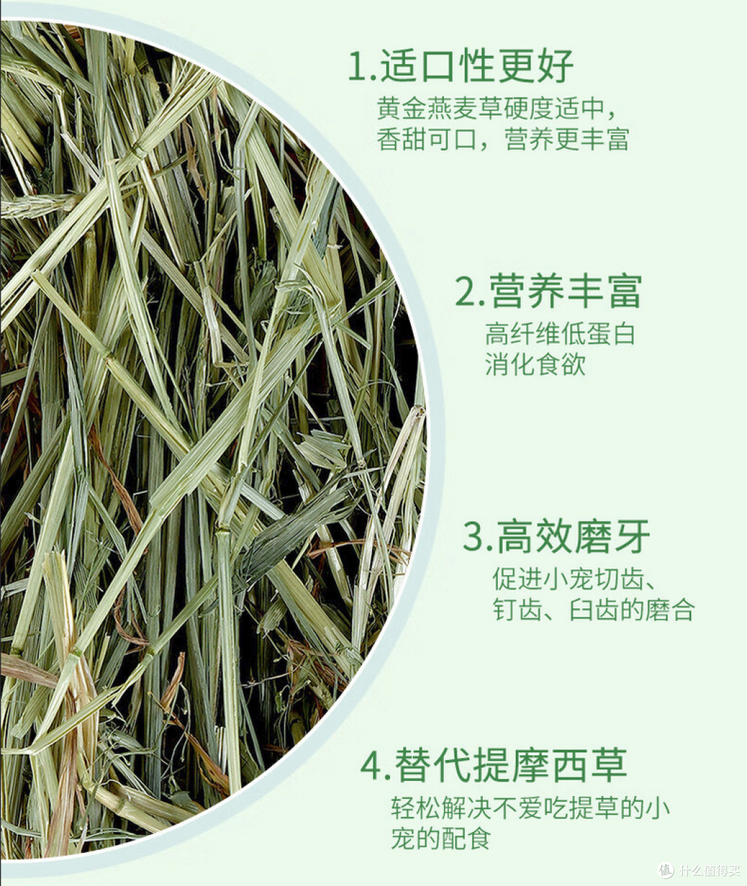 握草!原来草和草是有区别的!——兔兔的主粮草和零食草选购指南