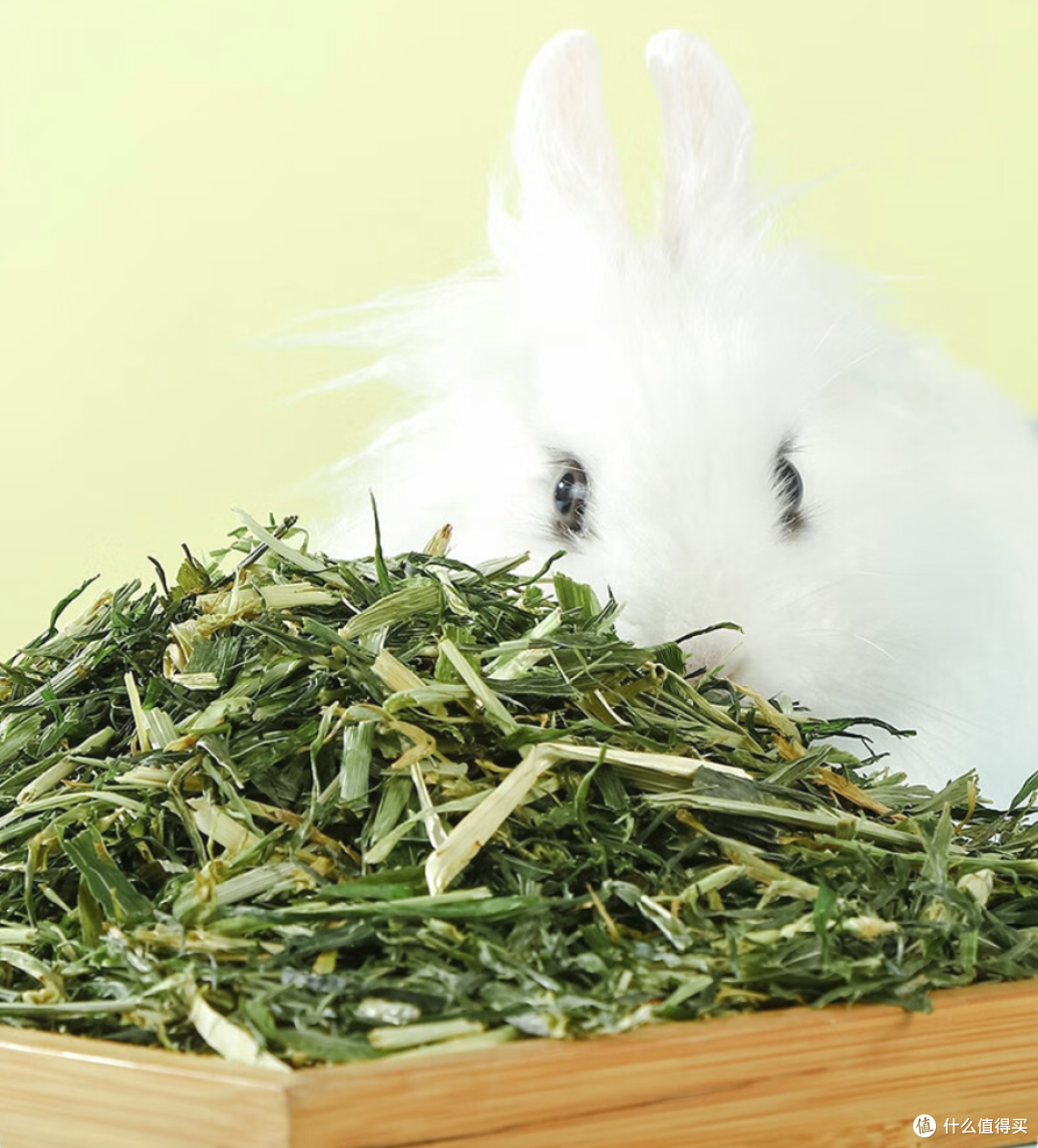握草!原来草和草是有区别的!——兔兔的主粮草和零食草选购指南