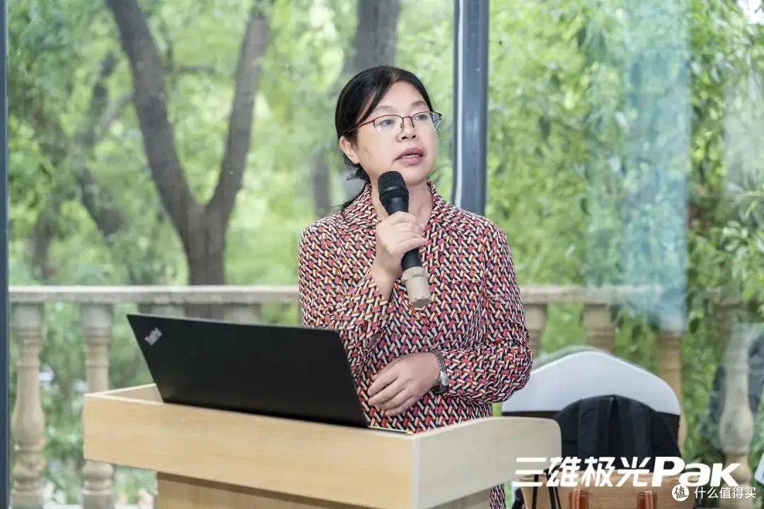 讲演者：长沙市规划勘测设计研究院 副总工程师 李建云