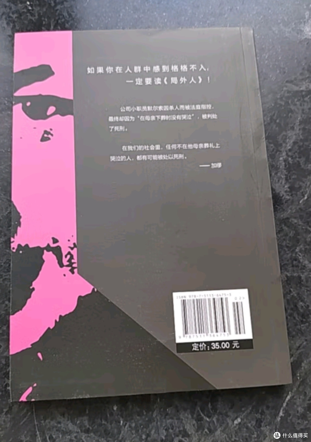 21天读书打卡之局外人