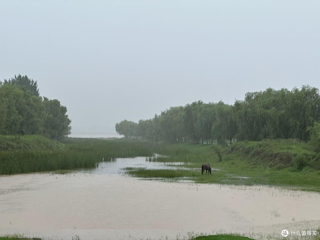 暴雨全城景区关闭，依然去大相国寺开封府趟海看黄河