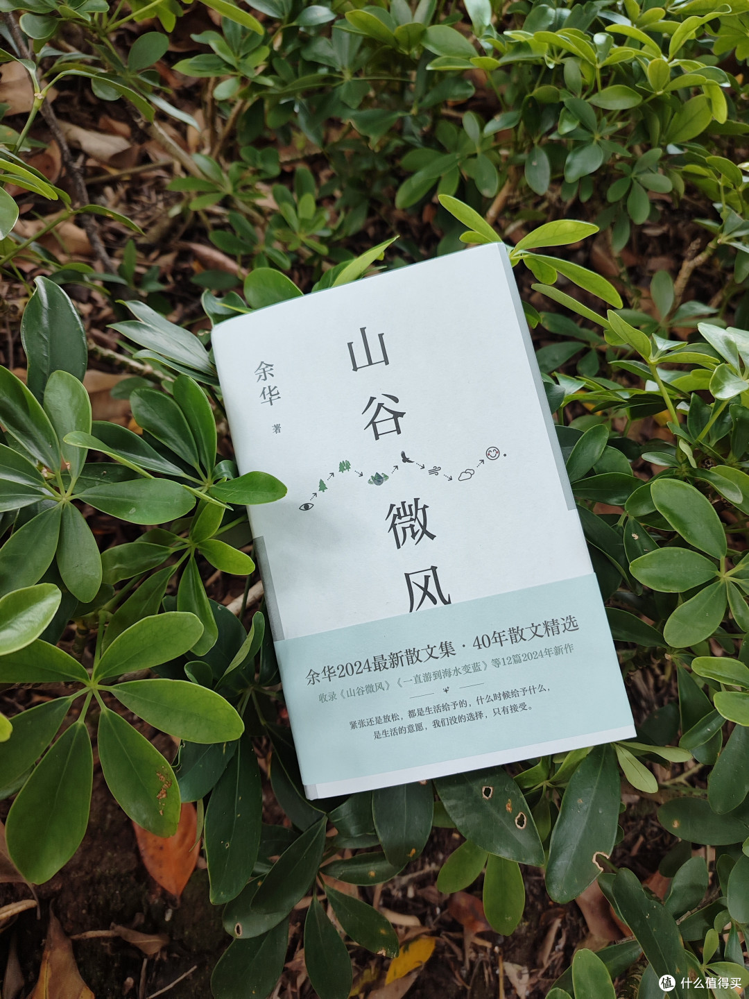 读书笔记一则——《山谷微风》