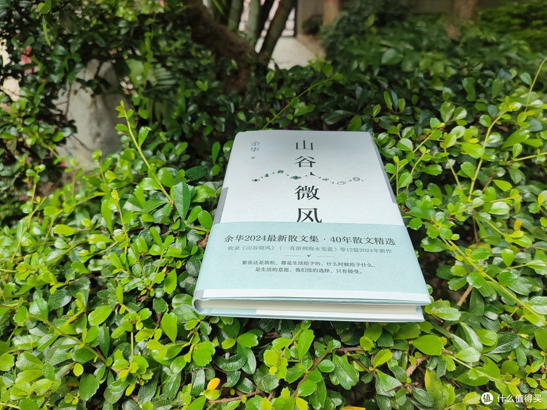 读书笔记一则——《山谷微风》