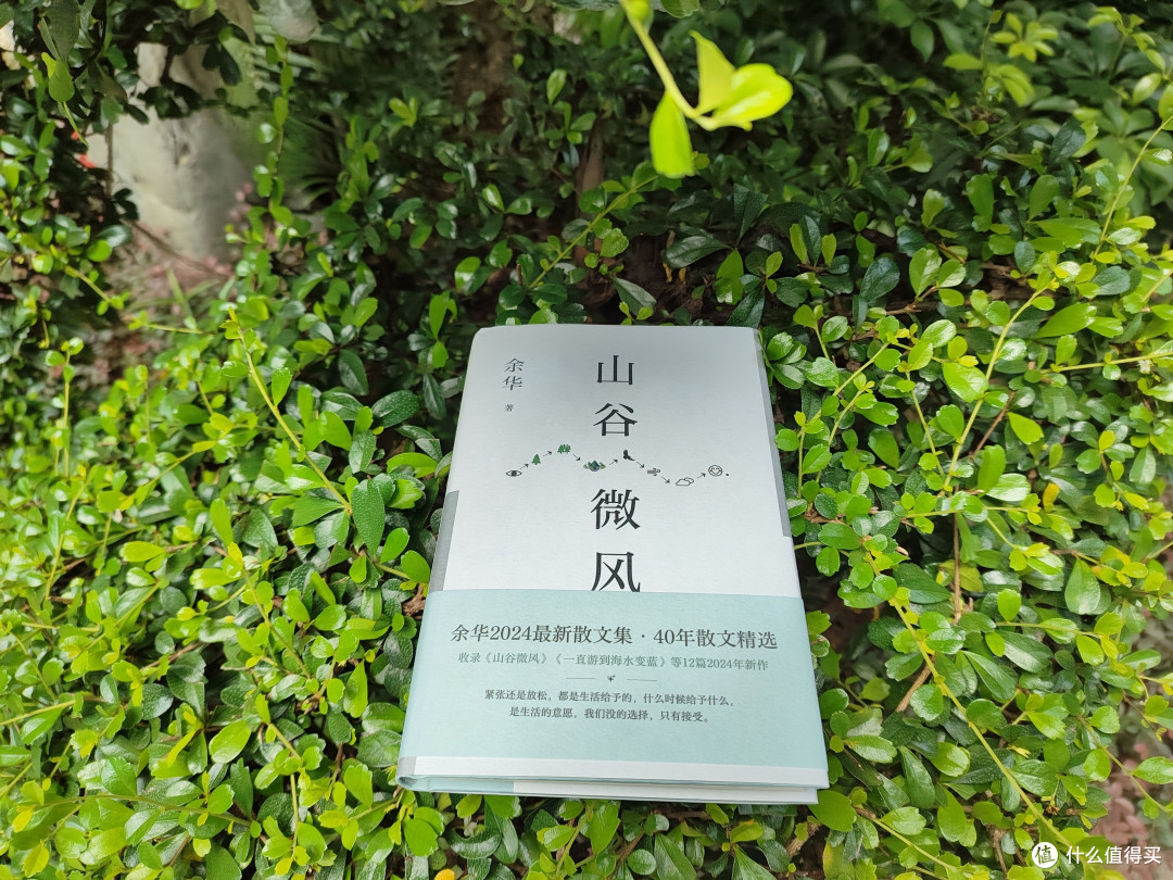 读书笔记一则——《山谷微风》