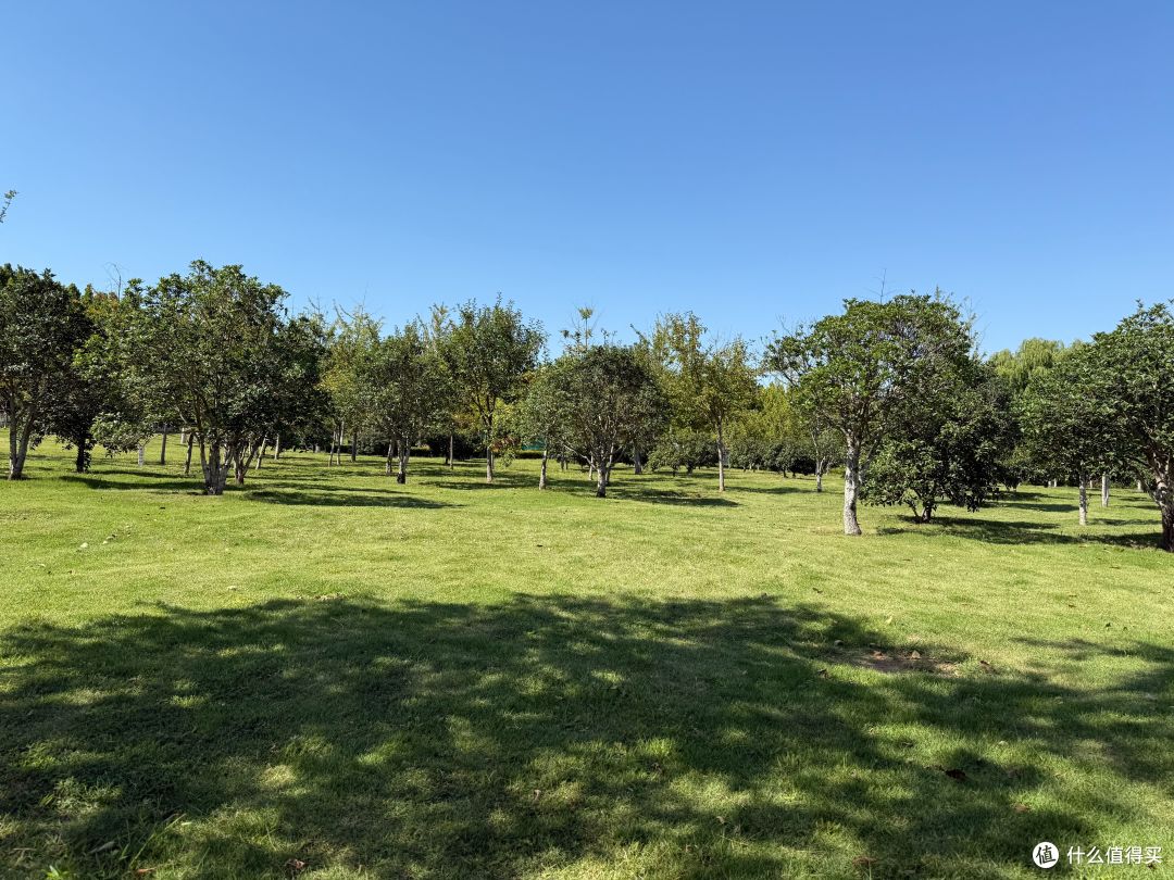 手持iPhone15和16两代 Pro Max 聊聊使用感受的差异