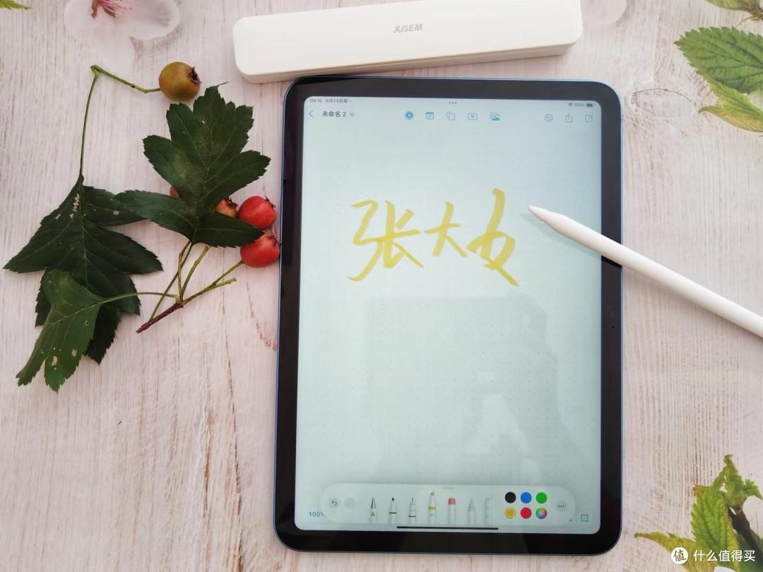 流畅书写，轻盈在手，Apple Pencil的完美平替—西圣电容笔