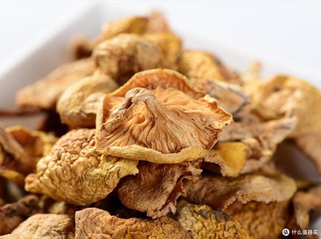 中国,最好吃的10种“蘑菇”,价不贵,营养高,9月遇到别错过