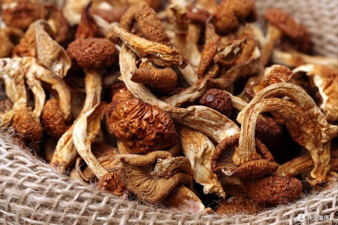中国,最好吃的10种“蘑菇”,价不贵,营养高,9月遇到别错过