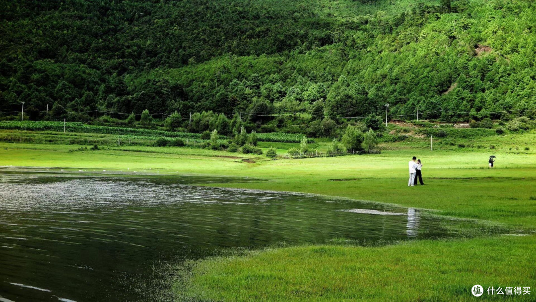 阿勒泰丽江分泰,文海的夏天是丽江的代表作