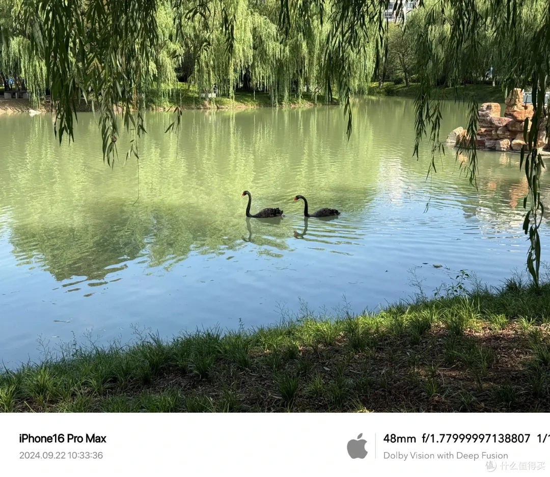 iPhone16Pro Max深度体验  拍照/信号/续航/bug如何？你买不买随意 我买我真买
