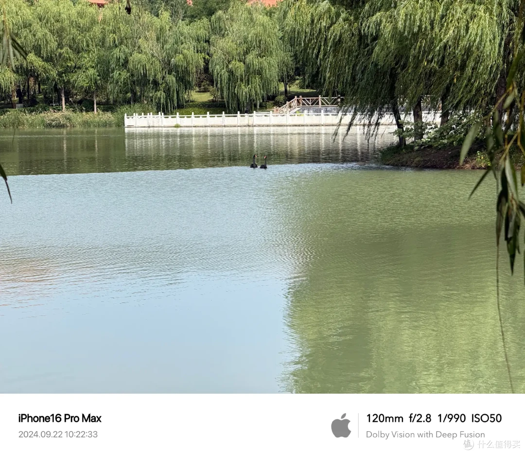iPhone16Pro Max深度体验  拍照/信号/续航/bug如何？你买不买随意 我买我真买