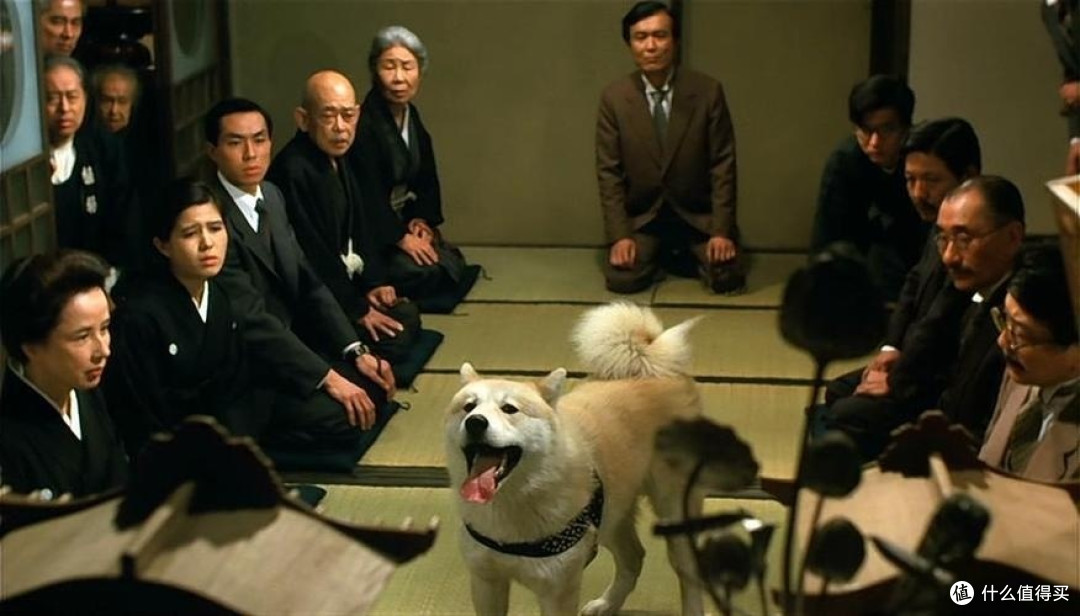 八公，一只普通的秋田犬，用其一生诠释了何为忠诚。