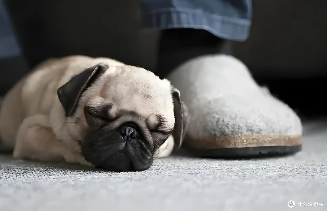 睡眠好物 用了这个枕头,醒来颈椎舒服多了