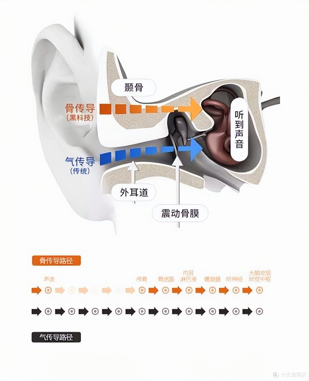 NANK Runner Pro5,让我见识到了一款骨传导耳机都有这么好的音质表现