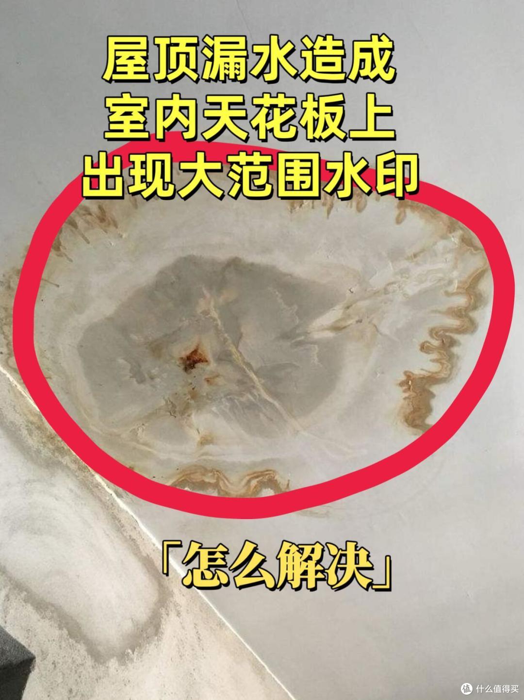 卖掉“顶楼带露台”的房子,我换到了“一楼”, 真的大爽了!