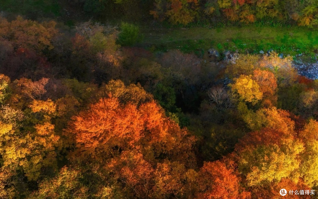 光雾山赏秋:一场如梦如幻的旅行体验