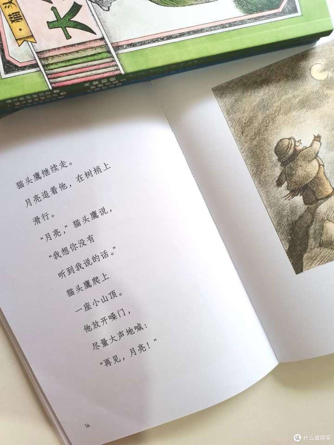 治愈系童书:《猫头鹰的眼泪茶》,让成人和孩子的心灵都能得到抚慰!