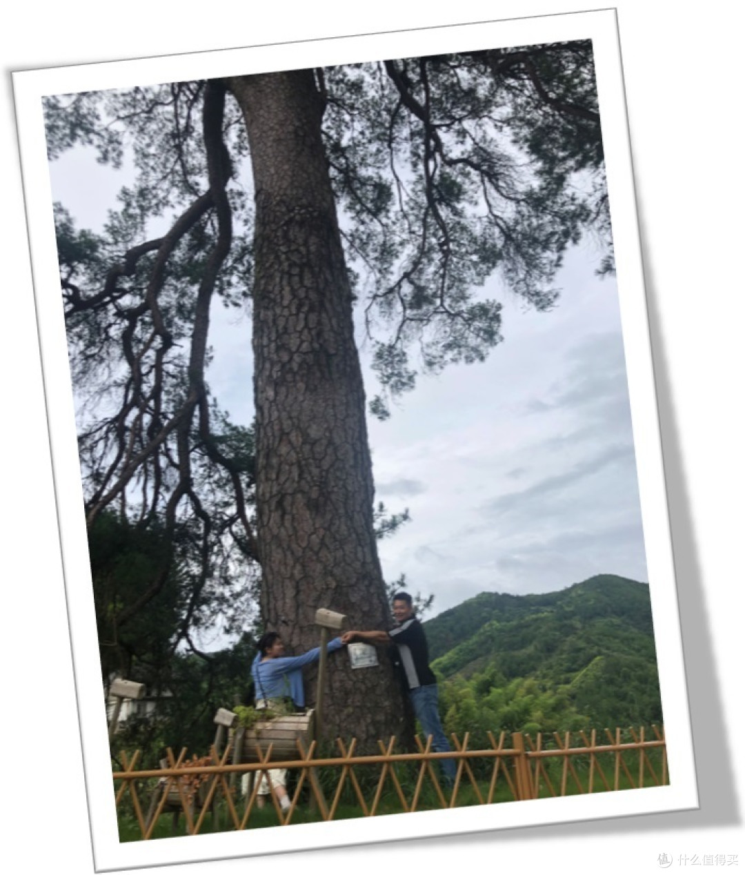 再多一个小朋友可以合抱