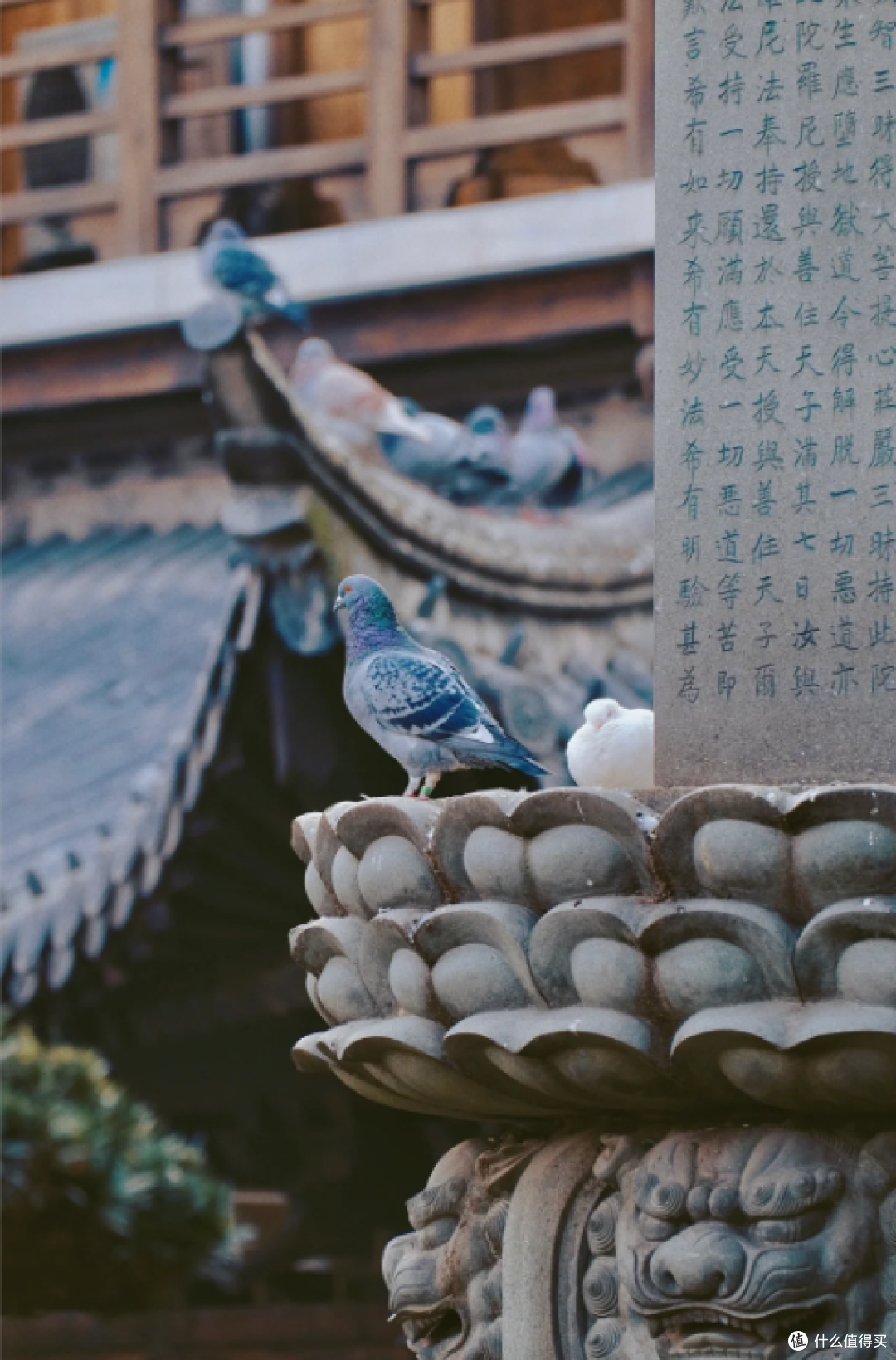 比起外滩，更喜欢上海这座有700年历史元代古寺