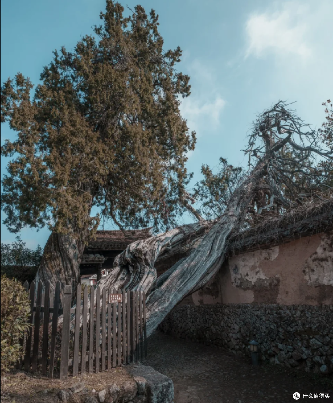 差点雪藏的宝藏古寺，因为《黑神话，悟空》才被人知晓