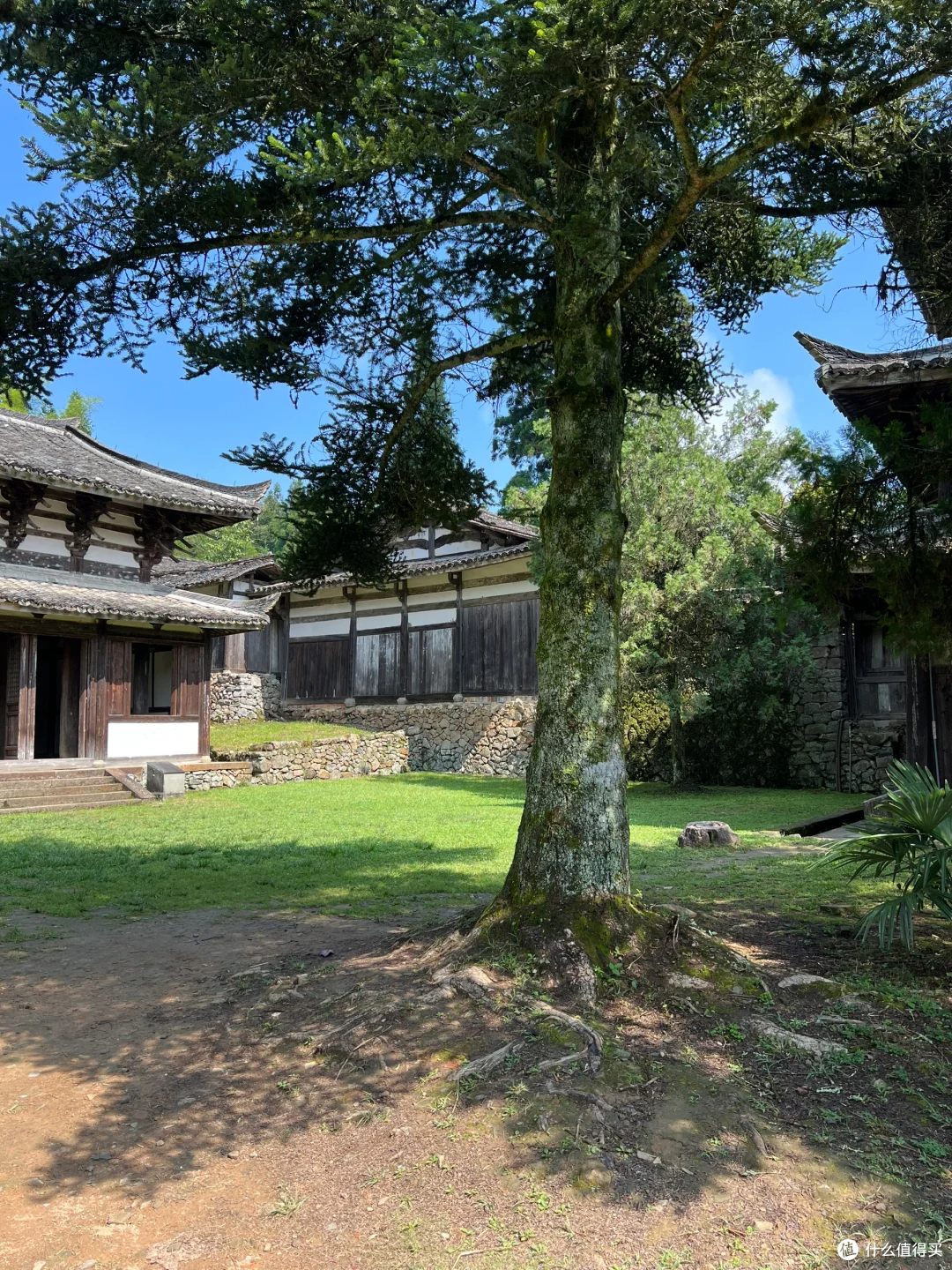差点雪藏的宝藏古寺，因为《黑神话，悟空》才被人知晓