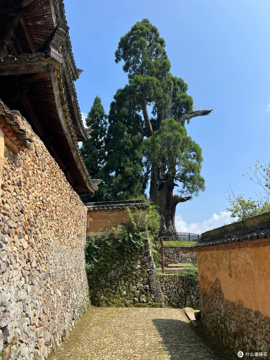 差点雪藏的宝藏古寺，因为《黑神话，悟空》才被人知晓