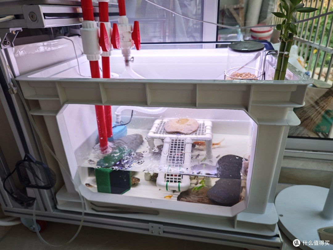 中年男人瞎折腾之DIY鱼缸组