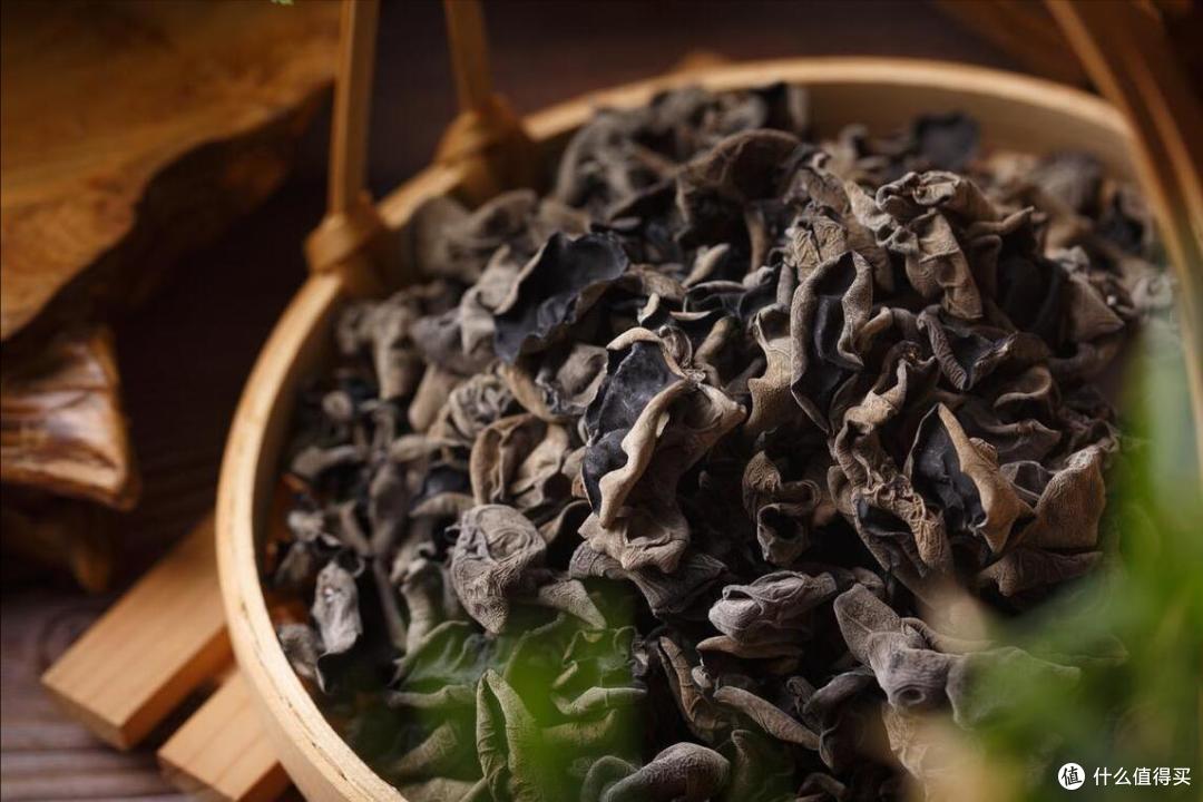 全国有多少种“木耳”?哪个品种最好吃?今天全读懂,来涨知识了