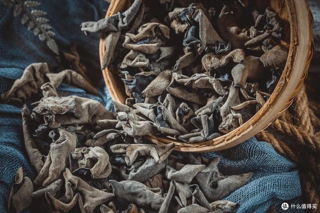 全国有多少种“木耳”?哪个品种最好吃?今天全读懂,来涨知识了