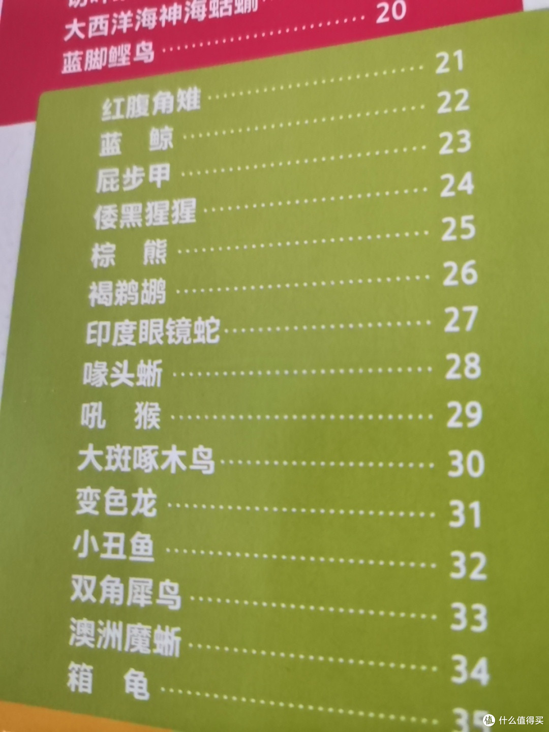 动物大百科,您带孩子了解了吗?