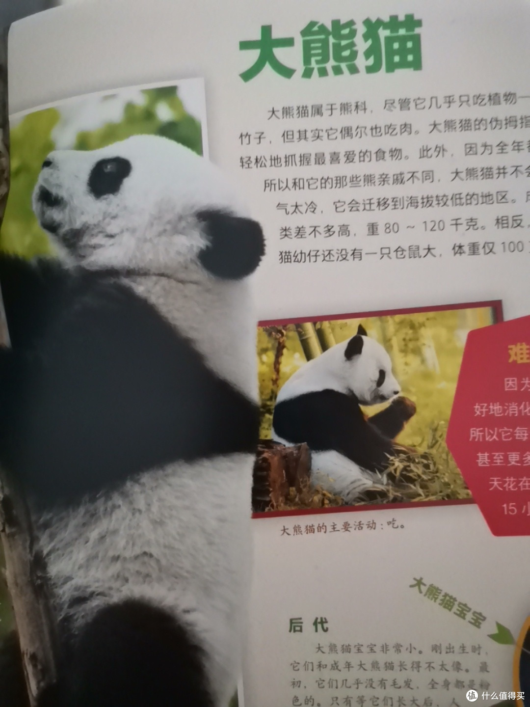 动物大百科,您带孩子了解了吗?