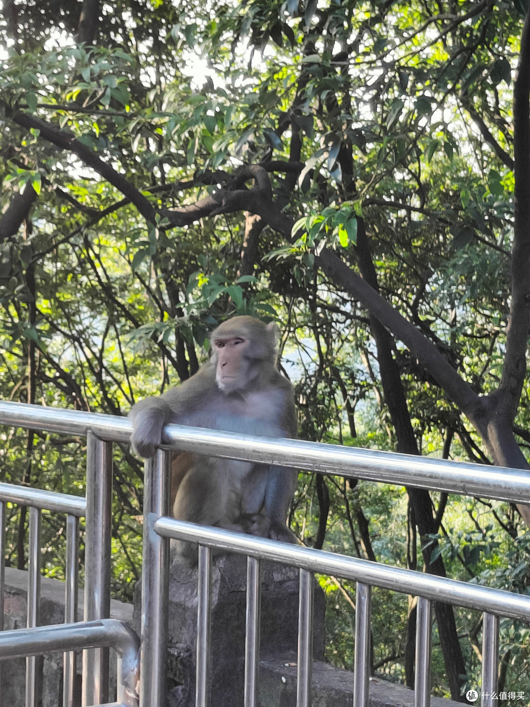 探秘桂黔滇,半个月旅游新体验5-贵阳市区特种兵之旅
