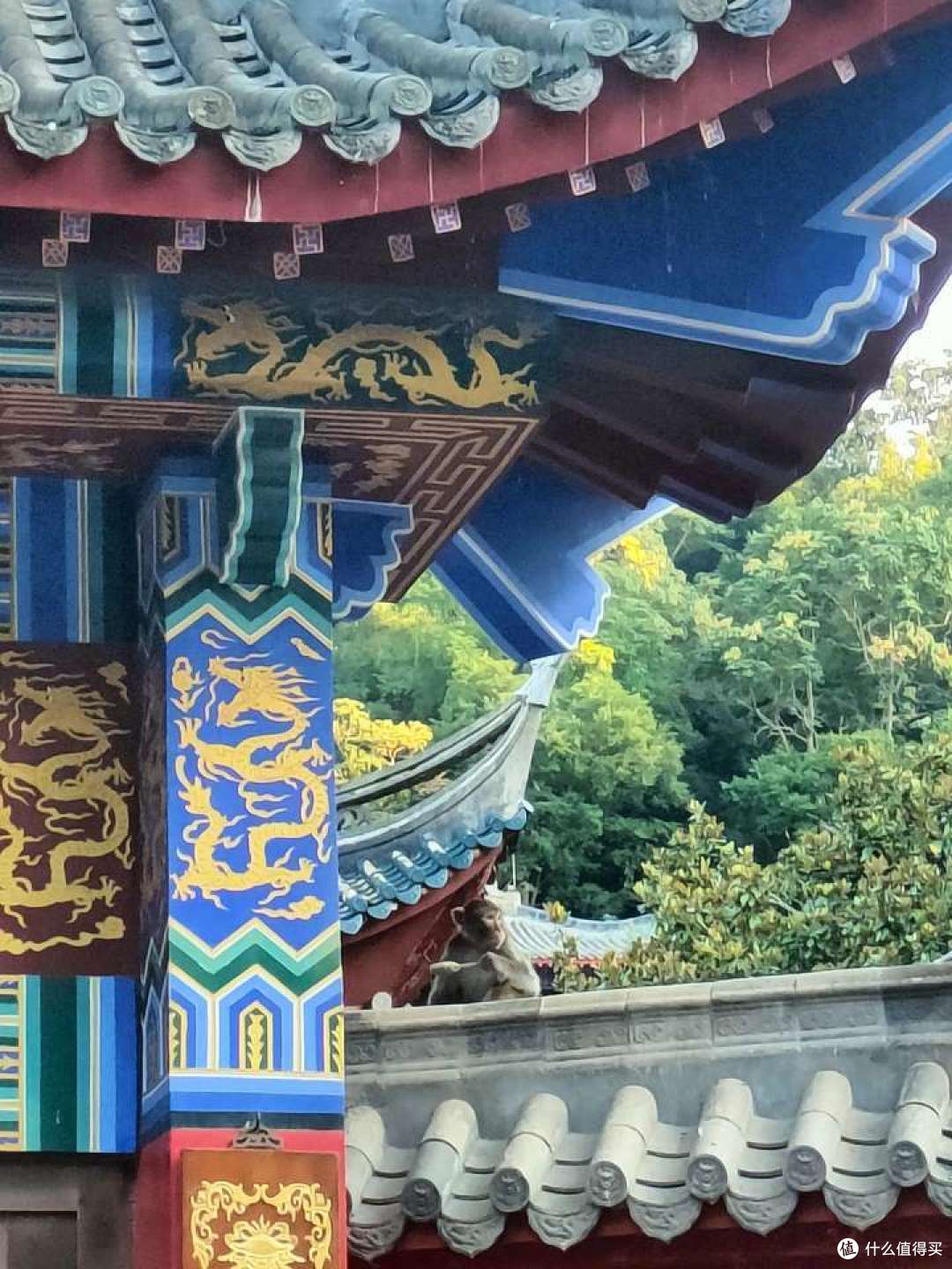 探秘桂黔滇,半个月旅游新体验5-贵阳市区特种兵之旅